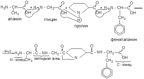 Напишите реакцию глицина