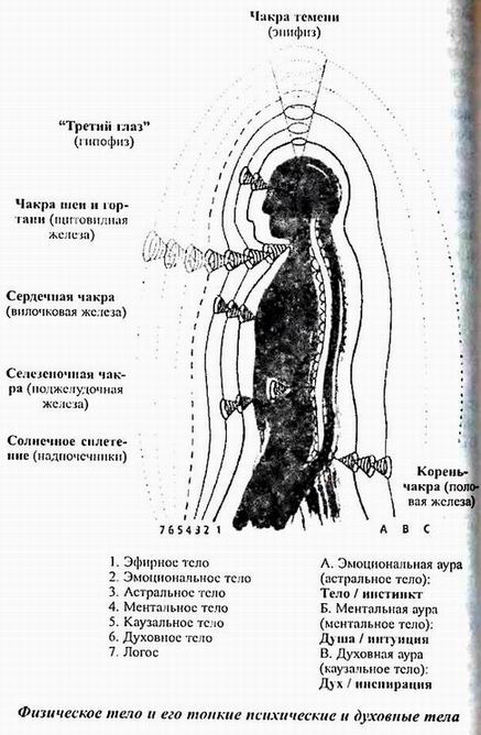 Тонкий план это