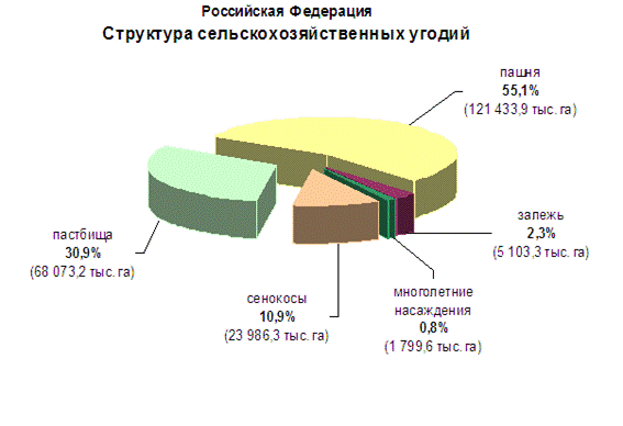 Сельскохозяйственные земли в россии занимают площадь. Структура земель сельскохозяйственного назначения схема. Структура СХ угодий. Земельный фонд России структура земельного фонда категории земель. Структура сельскохозяйственных угодий схема.