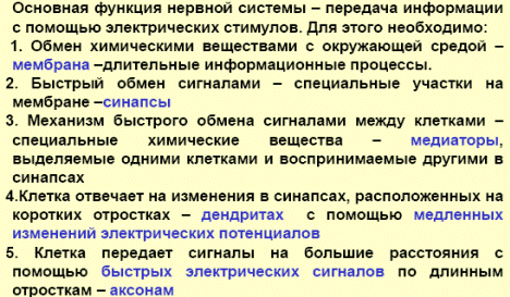 Функция т системы является. Основные функции нервной системы. какую работу выполняет нервная система. какую функцию выполняет нервная система в организме животных?.