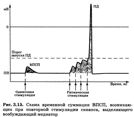 Что такое впсп и тпсп. Смотреть фото Что такое впсп и тпсп. Смотреть картинку Что такое впсп и тпсп. Картинка про Что такое впсп и тпсп. Фото Что такое впсп и тпсп