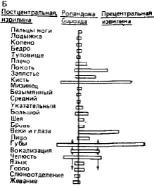 Что такое впсп и тпсп. Смотреть фото Что такое впсп и тпсп. Смотреть картинку Что такое впсп и тпсп. Картинка про Что такое впсп и тпсп. Фото Что такое впсп и тпсп