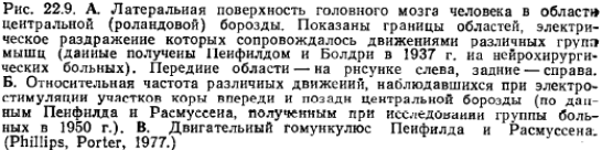 Что такое впсп и тпсп. Смотреть фото Что такое впсп и тпсп. Смотреть картинку Что такое впсп и тпсп. Картинка про Что такое впсп и тпсп. Фото Что такое впсп и тпсп