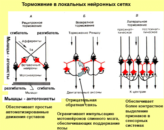 Реципрокное скрещивание схема