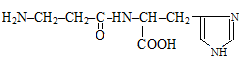 Гидролиз глицилаланина. А гистидилаланин. Β- аланилгистидином. 2 Амино 3 меркаптопропановая кислота формула. Укажите формулу глицилаланина.