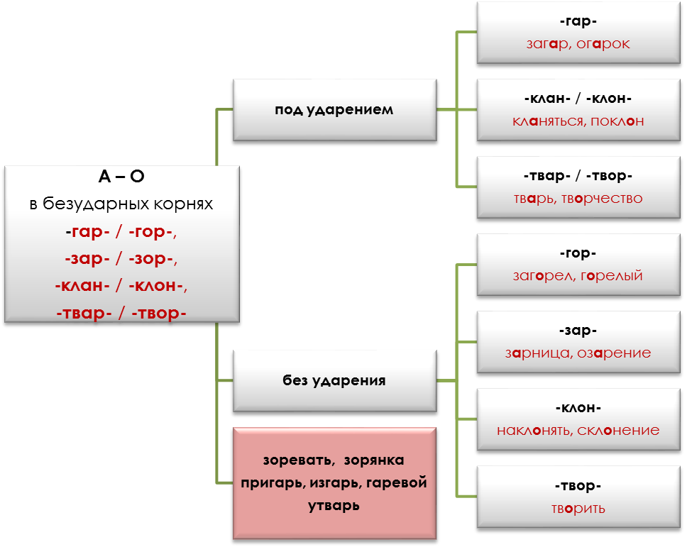 Словосочетание с корнем зор