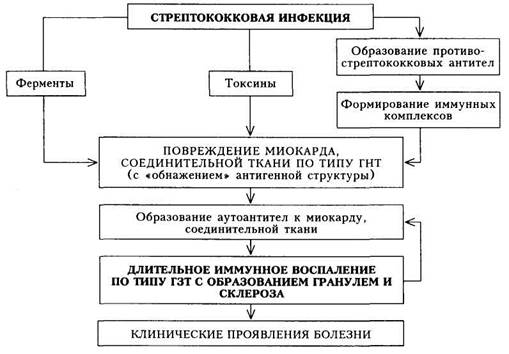 Первичный ревматизм чаще бывает в возрасте