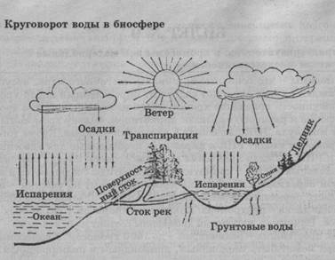 Цикл воды в организме. Круговорот воды в биосфере схема. Цикл воды в биосфере схема. Схема круговорота воды в биосфере схема. Круговорот сdjls в биосфере схема.