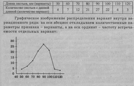 Изучите график зависимости выработки. Норма реакции признака вариационный ряд и вариационная кривая. Вариационная кривая модификационной изменчивости роста. Построение вариационной Кривой. Вариационная кривая длины листьев.