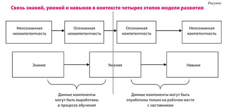 Виды знаний и умений. Схема навыков. Схема знания умения. Процесс освоения знаний и формирования навыка. Стадии приобретения навыка.