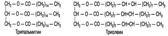 Гидролиз трипальмитата. Трипальмитин структурная формула. Структурная формула жира трипальмитина. Структурная формула трипальмиат. Трипальмитат глицерина.