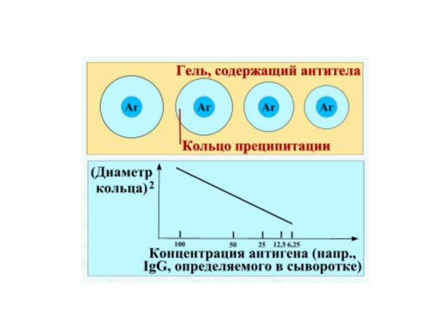 Реакция рида. Метод радиальной иммунодиффузии по Манчини. Реакция радиальной иммунодиффузии по Манчини. Реакция радиальной иммунодиффузии. Реакция радиальной иммунодиффузии по Манчини компоненты.