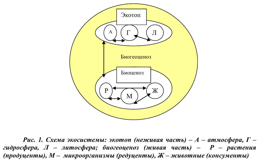 Бонусная карта экотоп