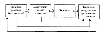 Составь схему цепи питания характерной для тайги 4 класс